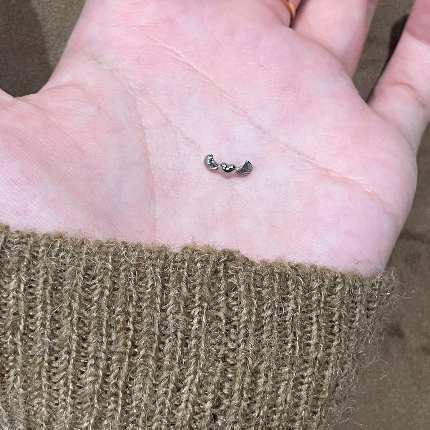 Aeroheart Wings Helix Earrings