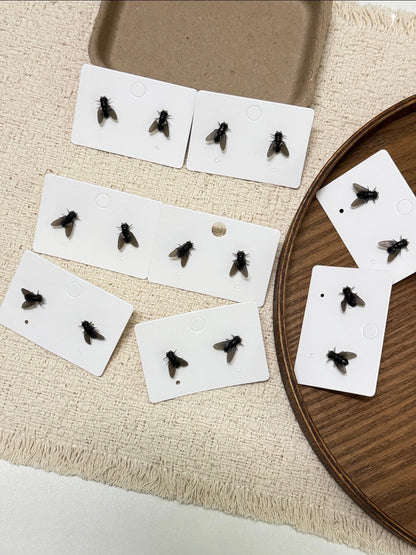 Housefly Earrings