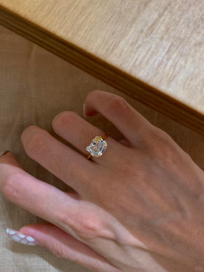 Matching Kitty Glitz Adjustable Rings & Earrings Set