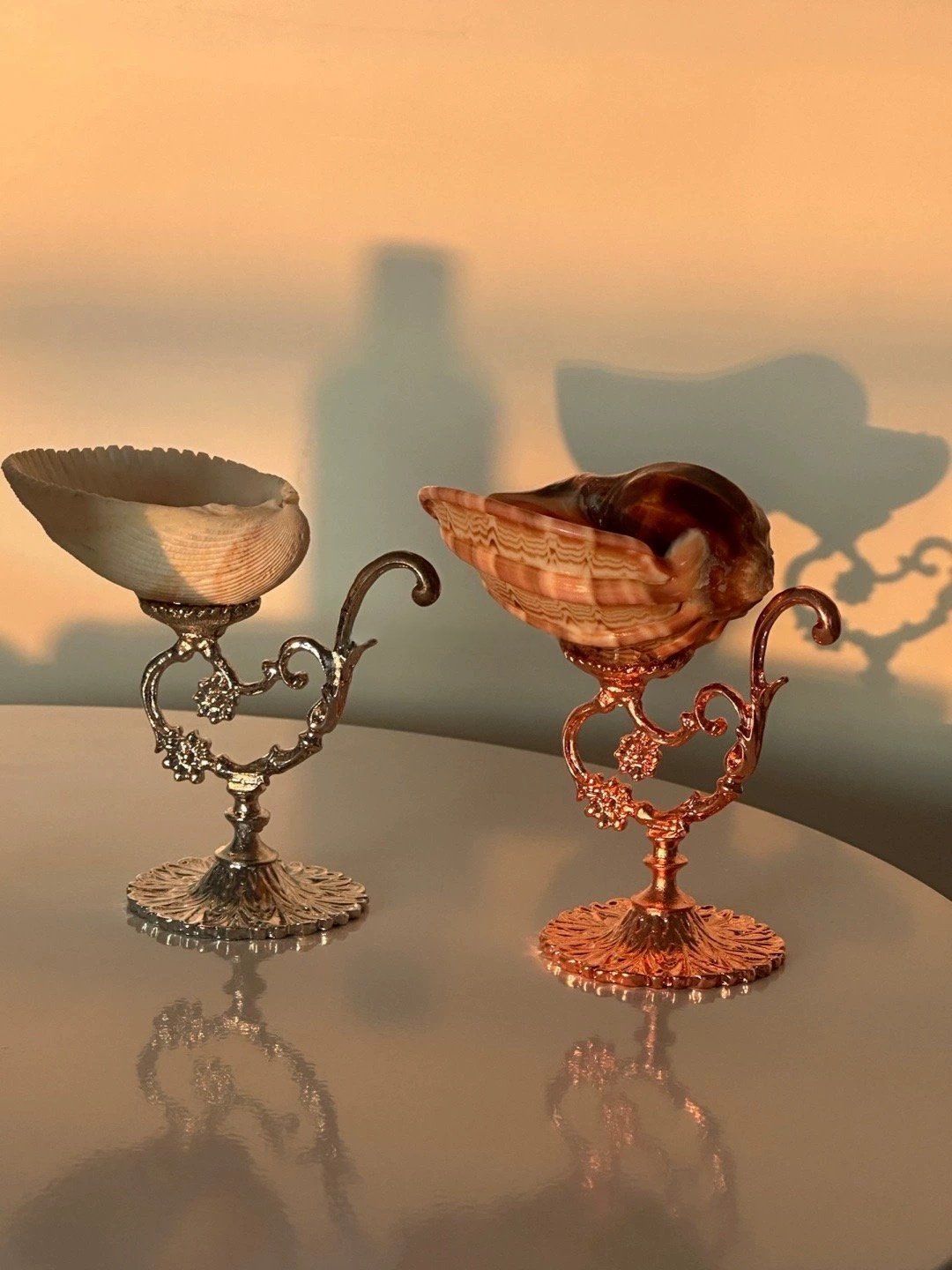 Royal Shell Jewelry Holder Cups