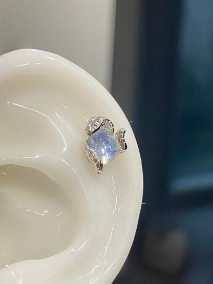 Secret Garden Froggy Studs