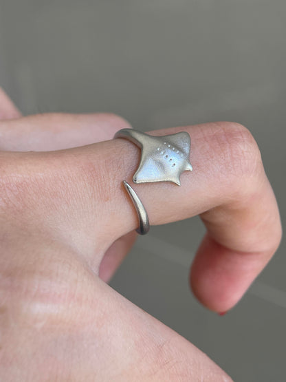 Oceanic Drift Ring