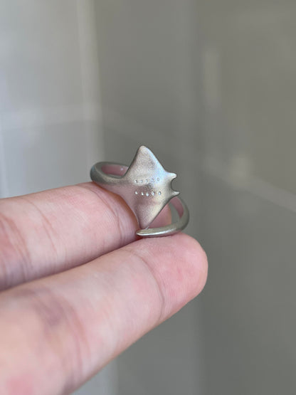 Oceanic Drift Ring