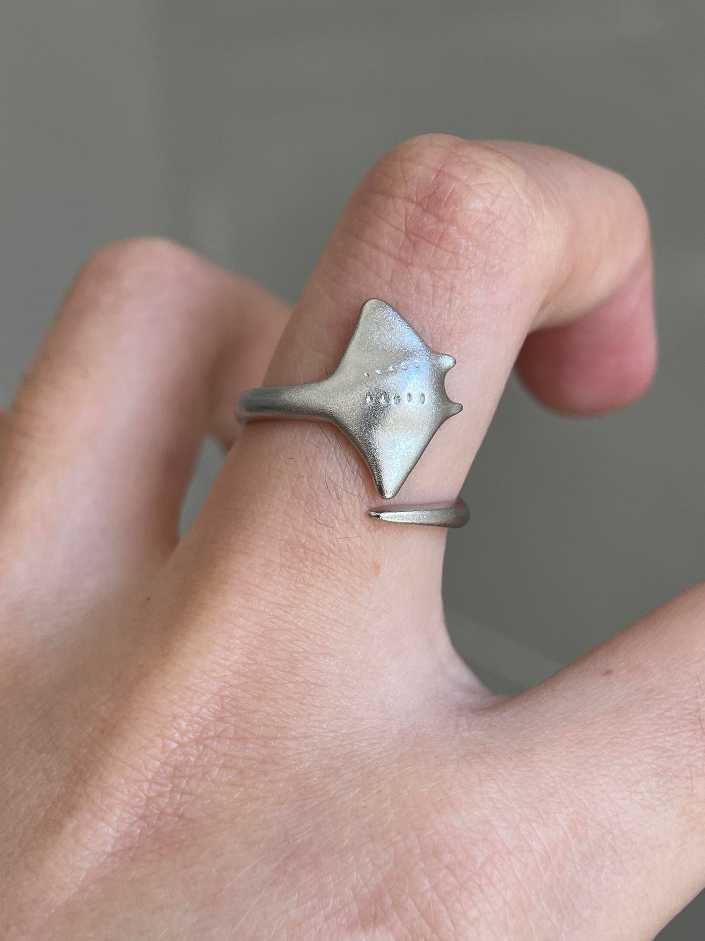 Oceanic Drift Ring