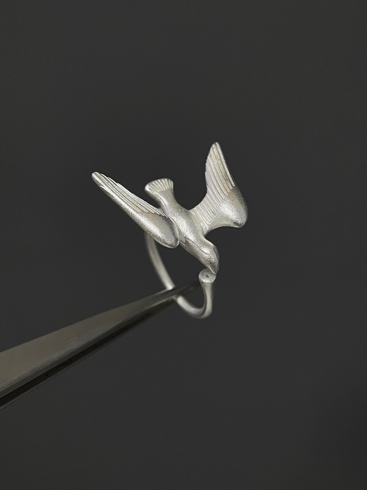 Everlasting Flight Ring