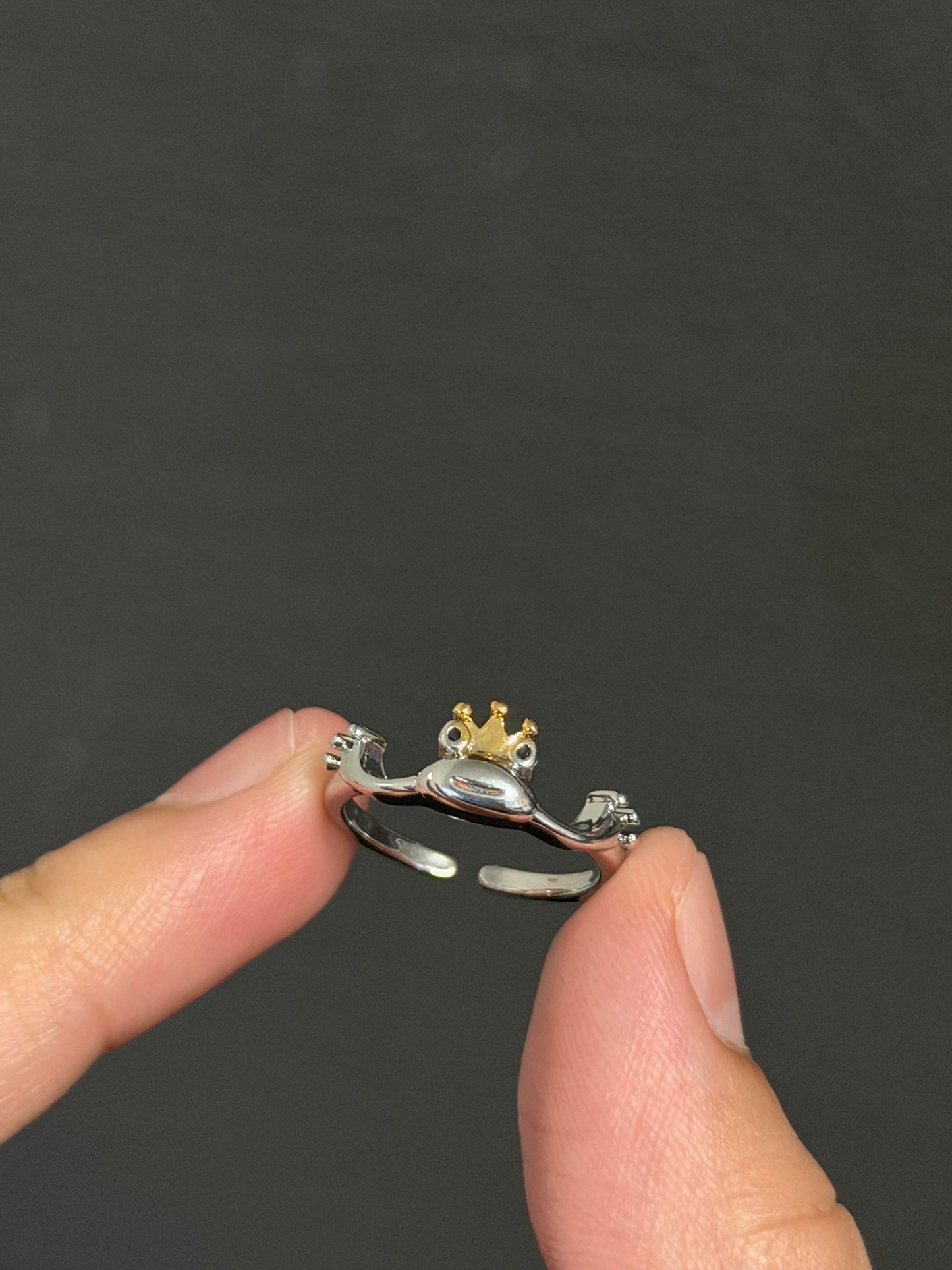 Frog Prince Rings