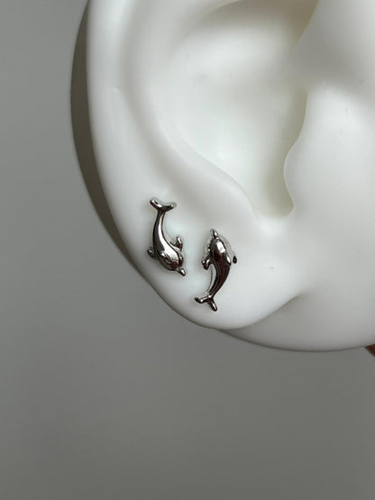 Dolphin Serenade Earrings